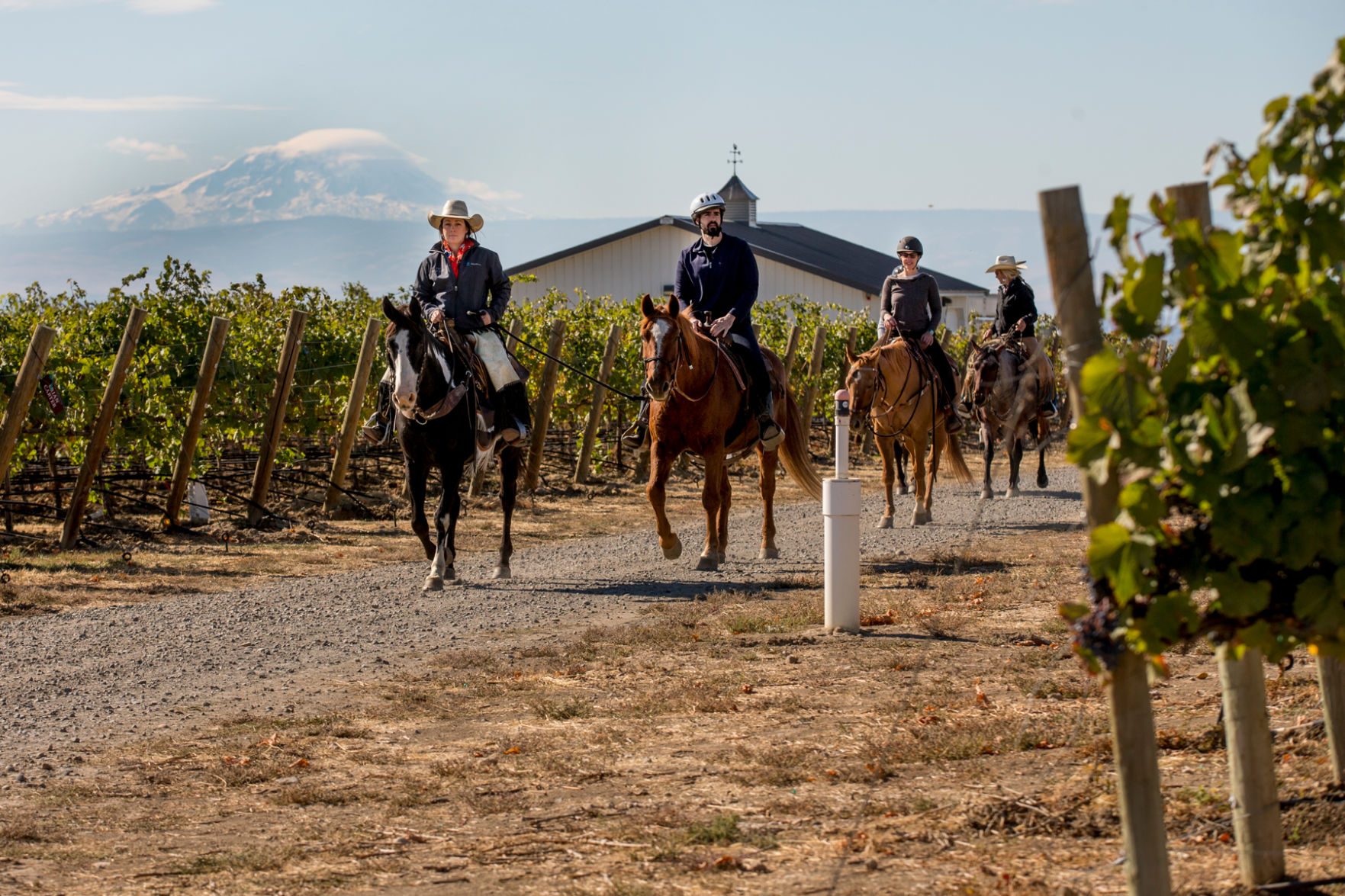 WineryTours-YH-111217-4.JPG
